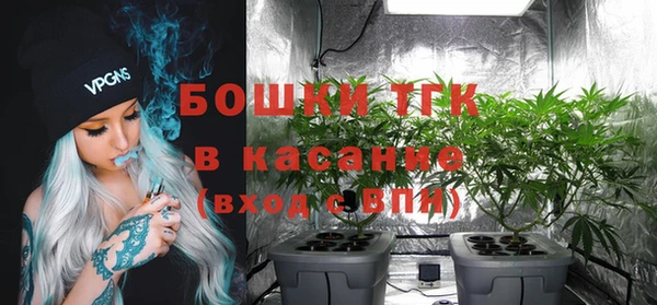 соль ск Арсеньев