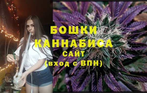 соль ск Арсеньев