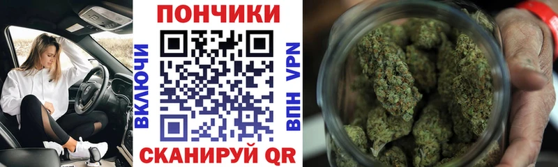 Конопля OG Kush  Шилка 