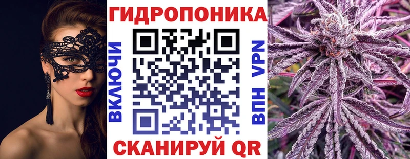 Каннабис план Шилка